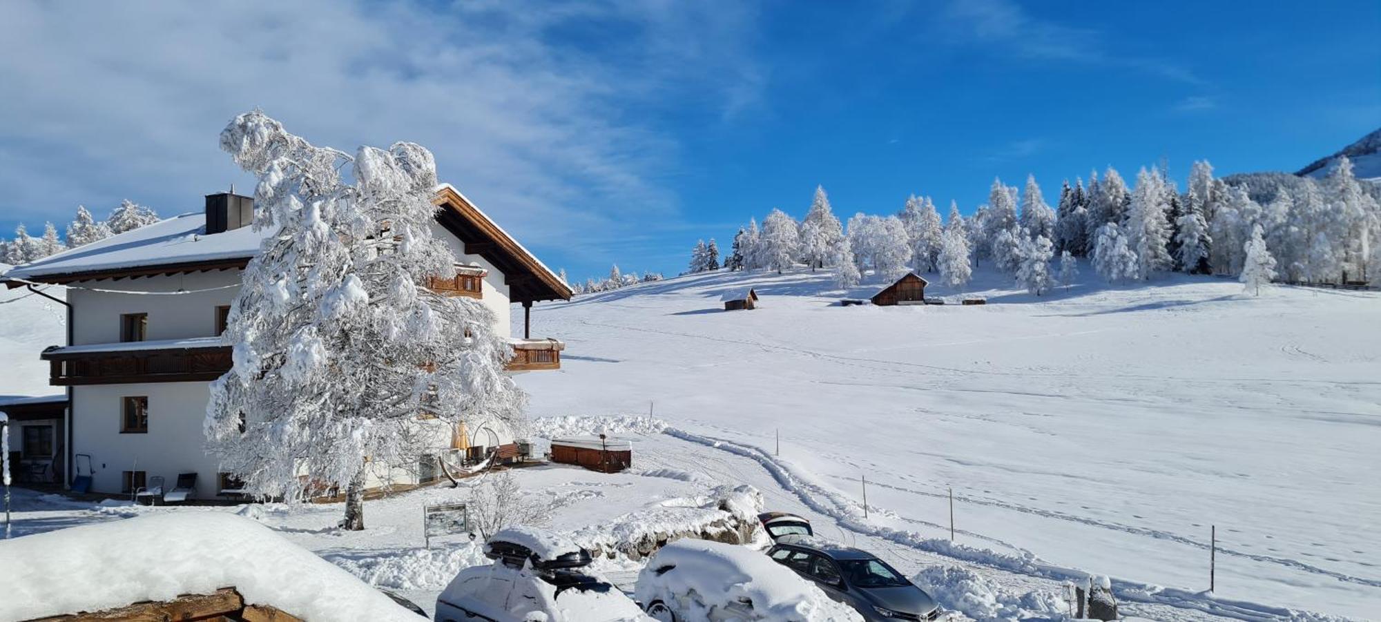 Haus Wiesenruh - Amazing Views & Setting ゼーフェルト・イン・チロル エクステリア 写真